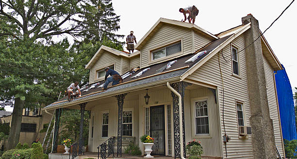 Best Roof Gutter Cleaning  in St Regis Park, KY